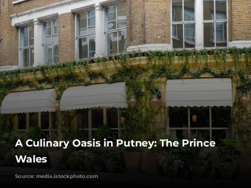 A Culinary Oasis in Putney: The Prince of Wales