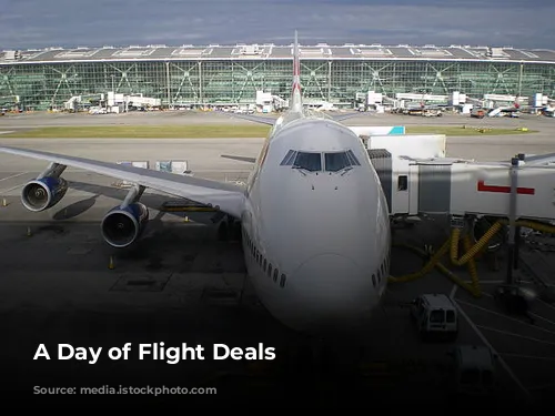 A Day of Flight Deals