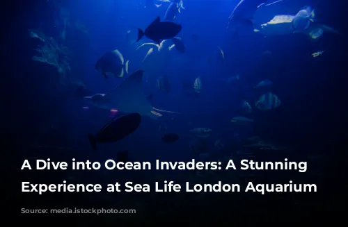 A Dive into Ocean Invaders: A Stunning Jellyfish Experience at Sea Life London Aquarium