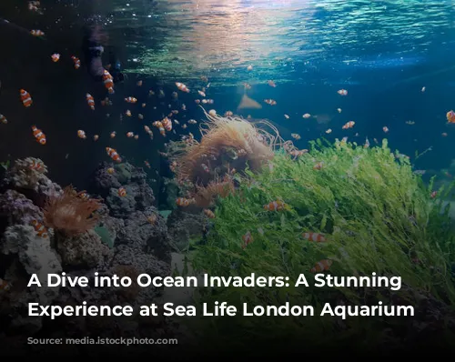 A Dive into Ocean Invaders: A Stunning Jellyfish Experience at Sea Life London Aquarium