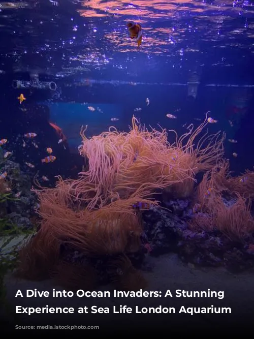 A Dive into Ocean Invaders: A Stunning Jellyfish Experience at Sea Life London Aquarium