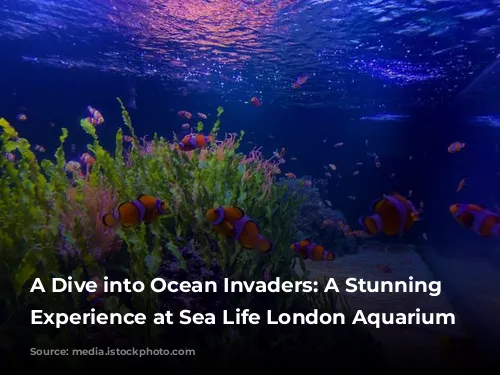 A Dive into Ocean Invaders: A Stunning Jellyfish Experience at Sea Life London Aquarium