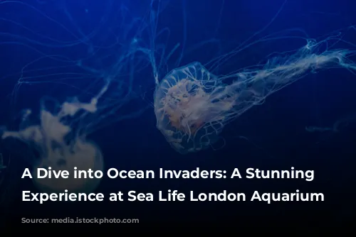 A Dive into Ocean Invaders: A Stunning Jellyfish Experience at Sea Life London Aquarium