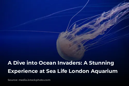 A Dive into Ocean Invaders: A Stunning Jellyfish Experience at Sea Life London Aquarium