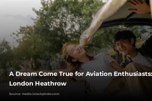 A Dream Come True for Aviation Enthusiasts: Sofitel London Heathrow