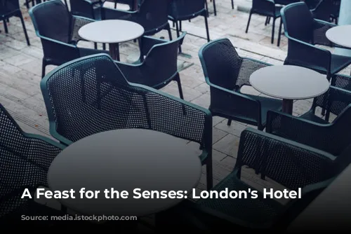 A Feast for the Senses: London's Hotel Restaurants