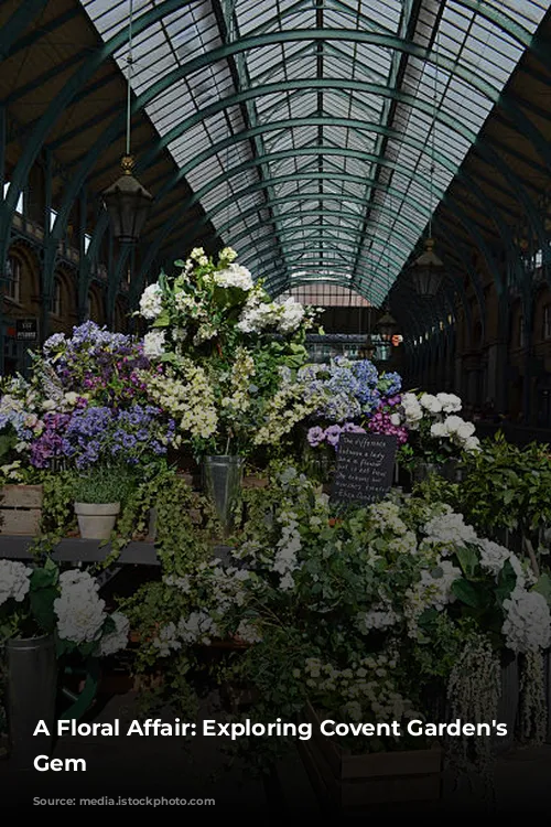 A Floral Affair: Exploring Covent Garden's Peruvian Gem