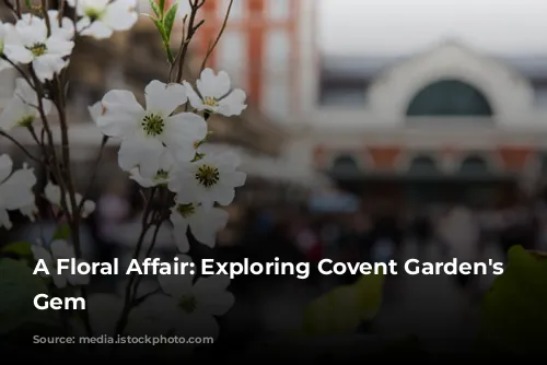 A Floral Affair: Exploring Covent Garden's Peruvian Gem