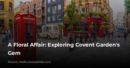 A Floral Affair: Exploring Covent Garden's Peruvian Gem