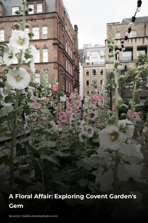 A Floral Affair: Exploring Covent Garden's Peruvian Gem