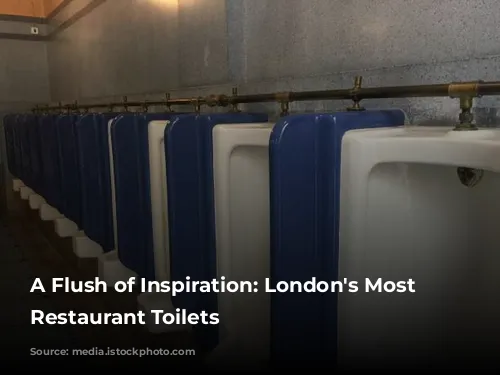 A Flush of Inspiration: London's Most Extravagant Restaurant Toilets