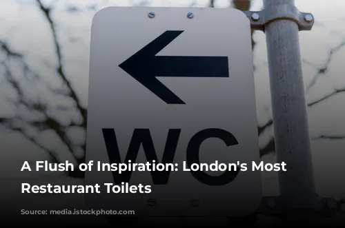 A Flush of Inspiration: London's Most Extravagant Restaurant Toilets