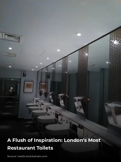 A Flush of Inspiration: London's Most Extravagant Restaurant Toilets