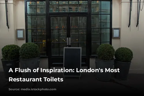 A Flush of Inspiration: London's Most Extravagant Restaurant Toilets