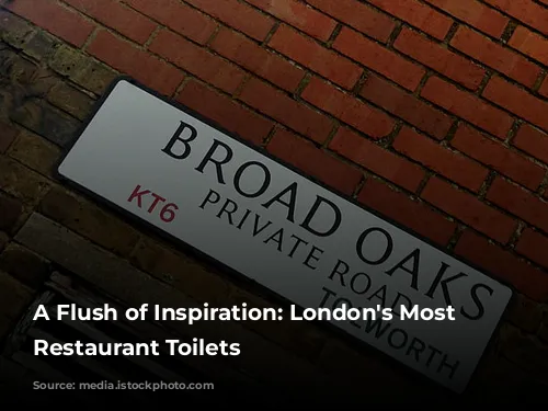 A Flush of Inspiration: London's Most Extravagant Restaurant Toilets