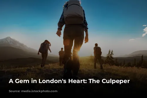 A Gem in London's Heart: The Culpeper