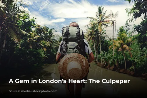 A Gem in London's Heart: The Culpeper