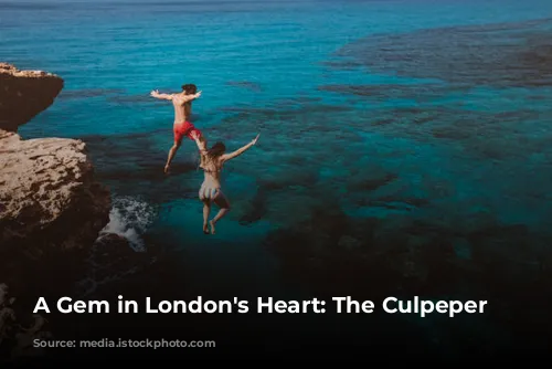 A Gem in London's Heart: The Culpeper