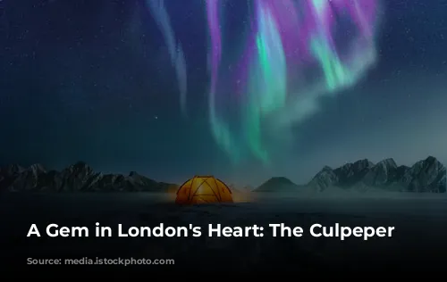 A Gem in London's Heart: The Culpeper