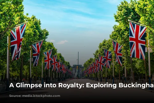 A Glimpse into Royalty: Exploring Buckingham Palace