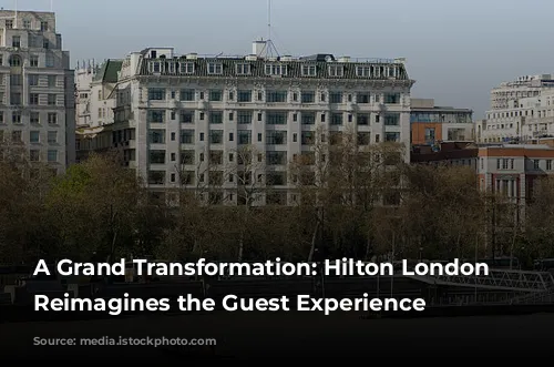 A Grand Transformation: Hilton London Metropole Reimagines the Guest Experience