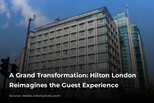 A Grand Transformation: Hilton London Metropole Reimagines the Guest Experience