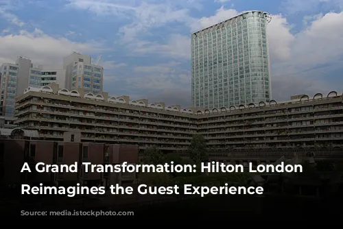 A Grand Transformation: Hilton London Metropole Reimagines the Guest Experience