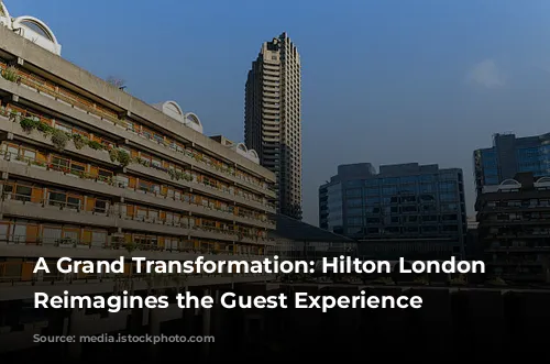 A Grand Transformation: Hilton London Metropole Reimagines the Guest Experience