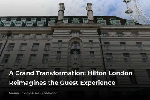 A Grand Transformation: Hilton London Metropole Reimagines the Guest Experience