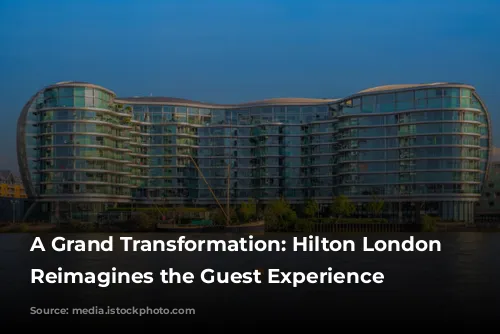 A Grand Transformation: Hilton London Metropole Reimagines the Guest Experience