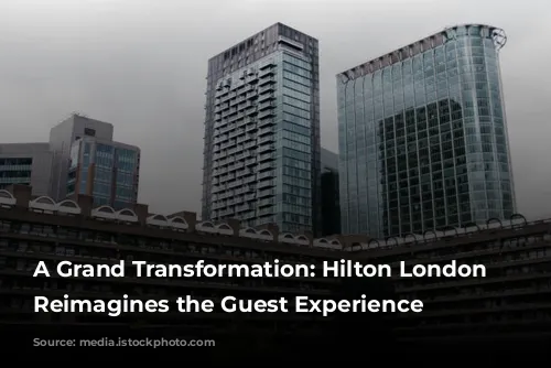 A Grand Transformation: Hilton London Metropole Reimagines the Guest Experience