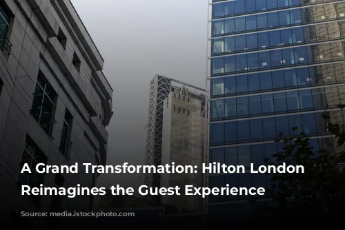 A Grand Transformation: Hilton London Metropole Reimagines the Guest Experience