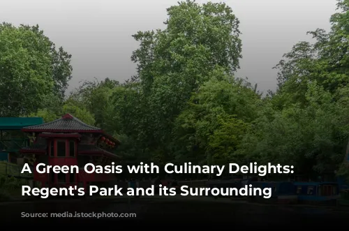 A Green Oasis with Culinary Delights: Exploring Regent's Park and its Surrounding Eateries