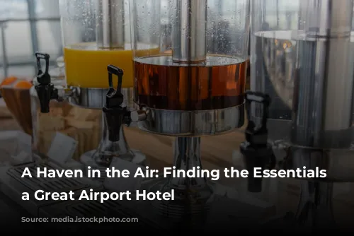 A Haven in the Air: Finding the Essentials of a Great Airport Hotel