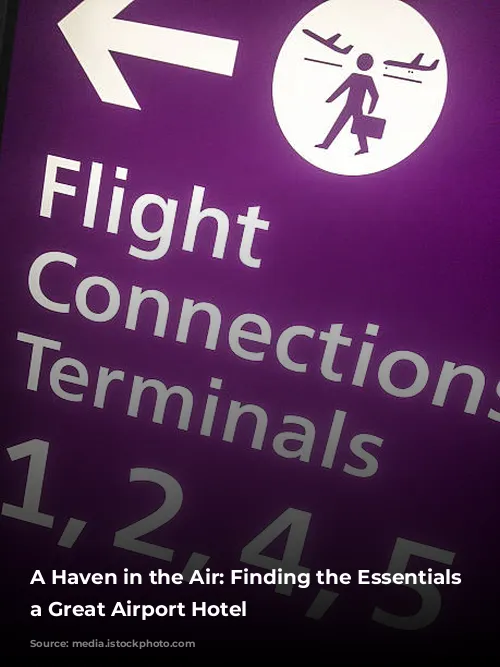 A Haven in the Air: Finding the Essentials of a Great Airport Hotel