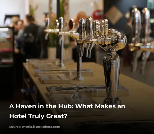 A Haven in the Hub: What Makes an Airport Hotel Truly Great?