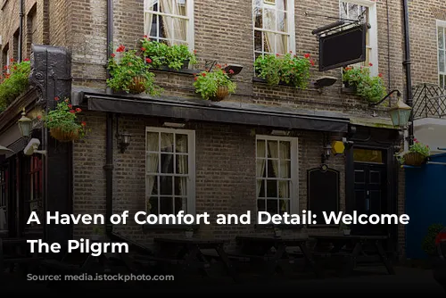 A Haven of Comfort and Detail: Welcome to The Pilgrm