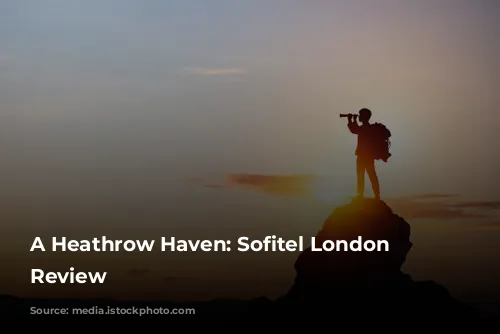 A Heathrow Haven: Sofitel London Heathrow Review