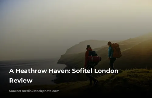 A Heathrow Haven: Sofitel London Heathrow Review