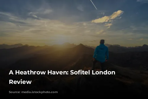 A Heathrow Haven: Sofitel London Heathrow Review