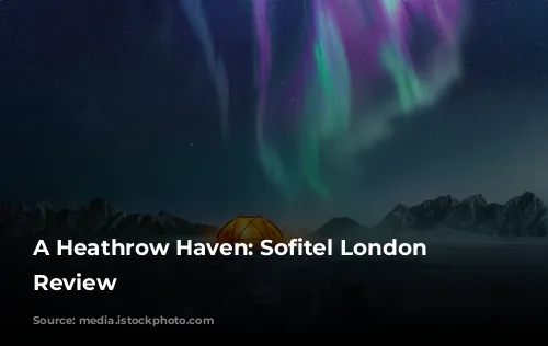 A Heathrow Haven: Sofitel London Heathrow Review