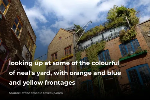 looking up at some of the colourful buildings of neal's yard, with orange and blue windowsills and yellow frontages