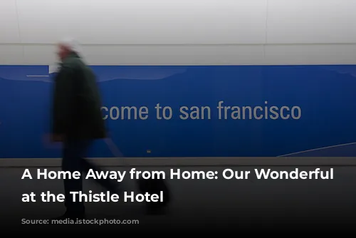 A Home Away from Home: Our Wonderful Stay at the Thistle Hotel