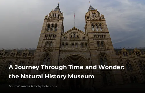 A Journey Through Time and Wonder: Exploring the Natural History Museum