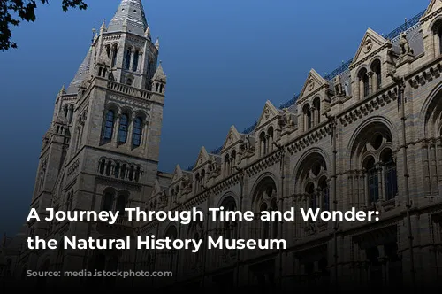 A Journey Through Time and Wonder: Exploring the Natural History Museum