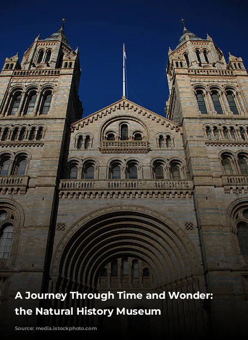 A Journey Through Time and Wonder: Exploring the Natural History Museum