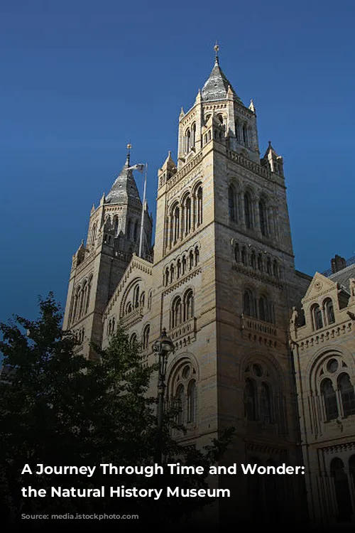 A Journey Through Time and Wonder: Exploring the Natural History Museum