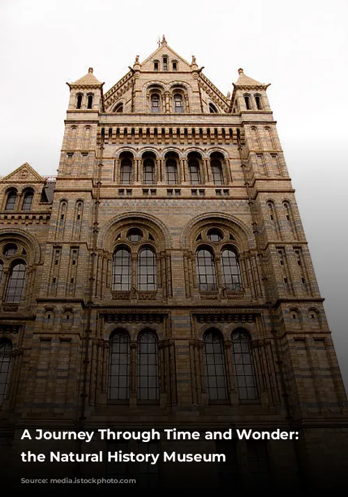 A Journey Through Time and Wonder: Exploring the Natural History Museum