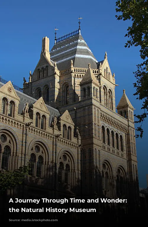 A Journey Through Time and Wonder: Exploring the Natural History Museum