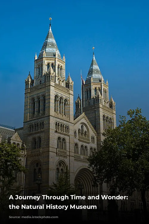 A Journey Through Time and Wonder: Exploring the Natural History Museum